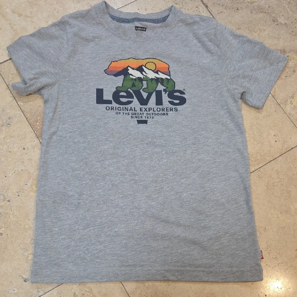 Levi's Light Gray Tee with Multicolor Mountain Bear Graphic